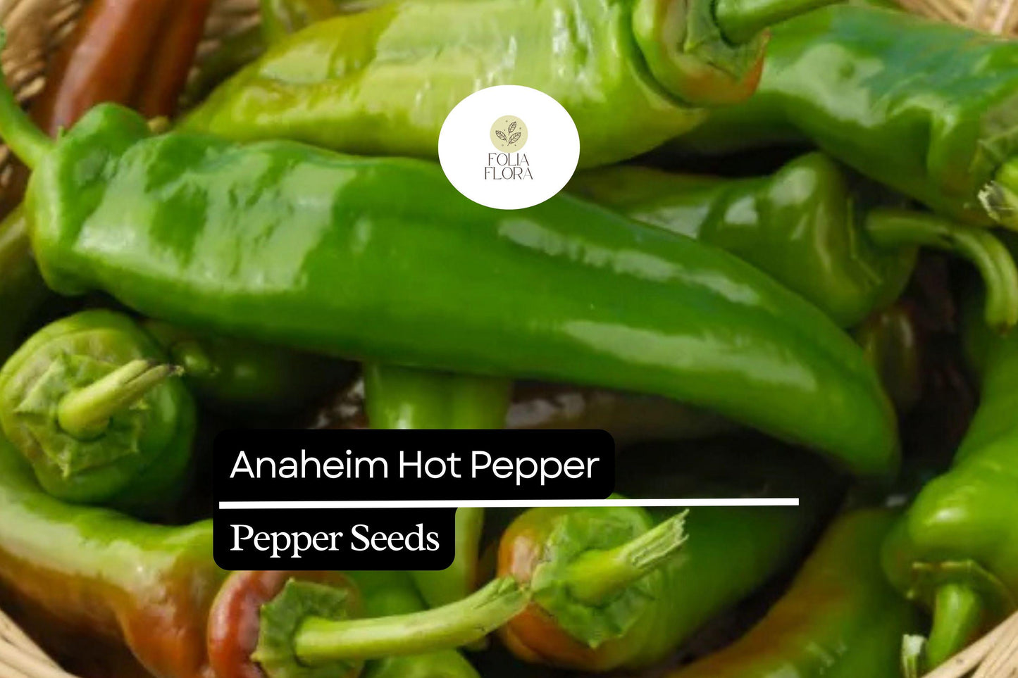 300mg Anaheim Hot Pepper Seeds Capsicum annuum | Mild Heat, Non-GMO, Heirloom Variety, Perfect for Roasting, Grilling, and Salsas