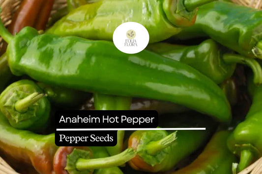 300mg Anaheim Hot Pepper Seeds Capsicum annuum | Mild Heat, Non-GMO, Heirloom Variety, Perfect for Roasting, Grilling, and Salsas
