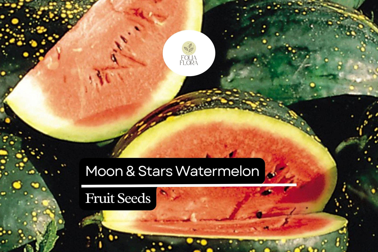 15 Seeds Moon & Stars Watermelon (Citrullus lanatus) – Unique Heirloom Variety with Yellow Spots and Sweet Red Flesh