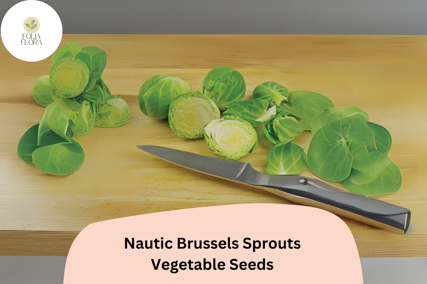 500+ Nautic F1 Brussels Sprouts Seeds – High-Yield Hybrid for Garden & Fall Harvest