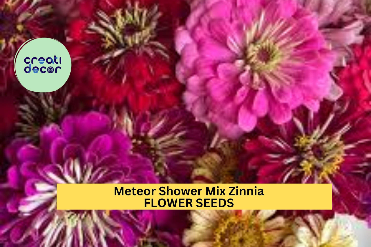 100+ Meteor Shower Zinnia Seeds – Bright Mixed Color Blooms for Garden Planting, Long-Lasting Annuals for Beds & Bouquets – USA