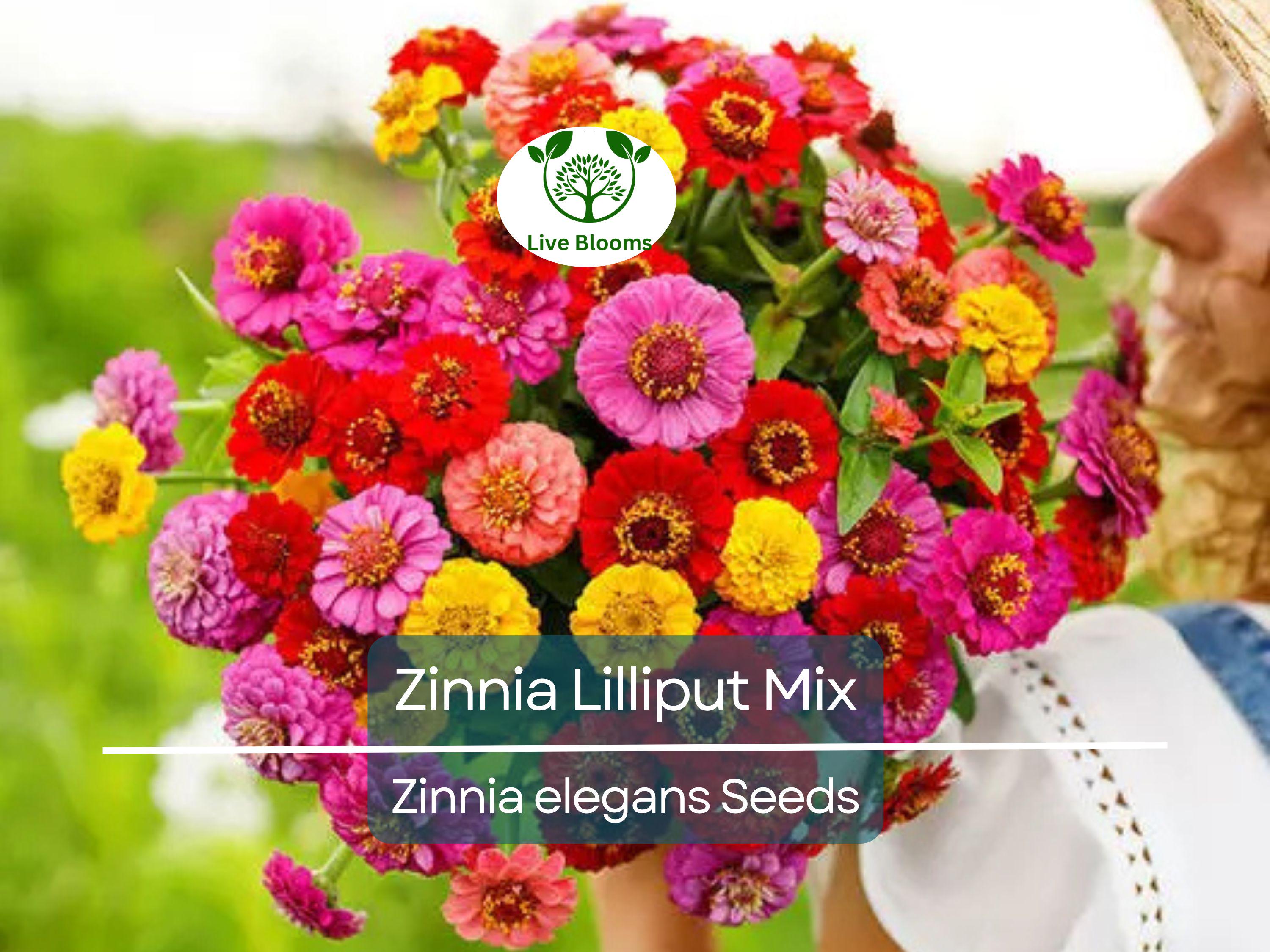200 Seeds Zinnia Lilliput Mix Elegans Heirloom Non-GMO Mixed Colors, Pollinator-Friendly, Compact Blooms, Easy to Grow, Garden Flowers