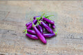 Eggplant – Long Purple 50 Seeds | Heirloom Eggplant | Slender Fruits | Early & Productive