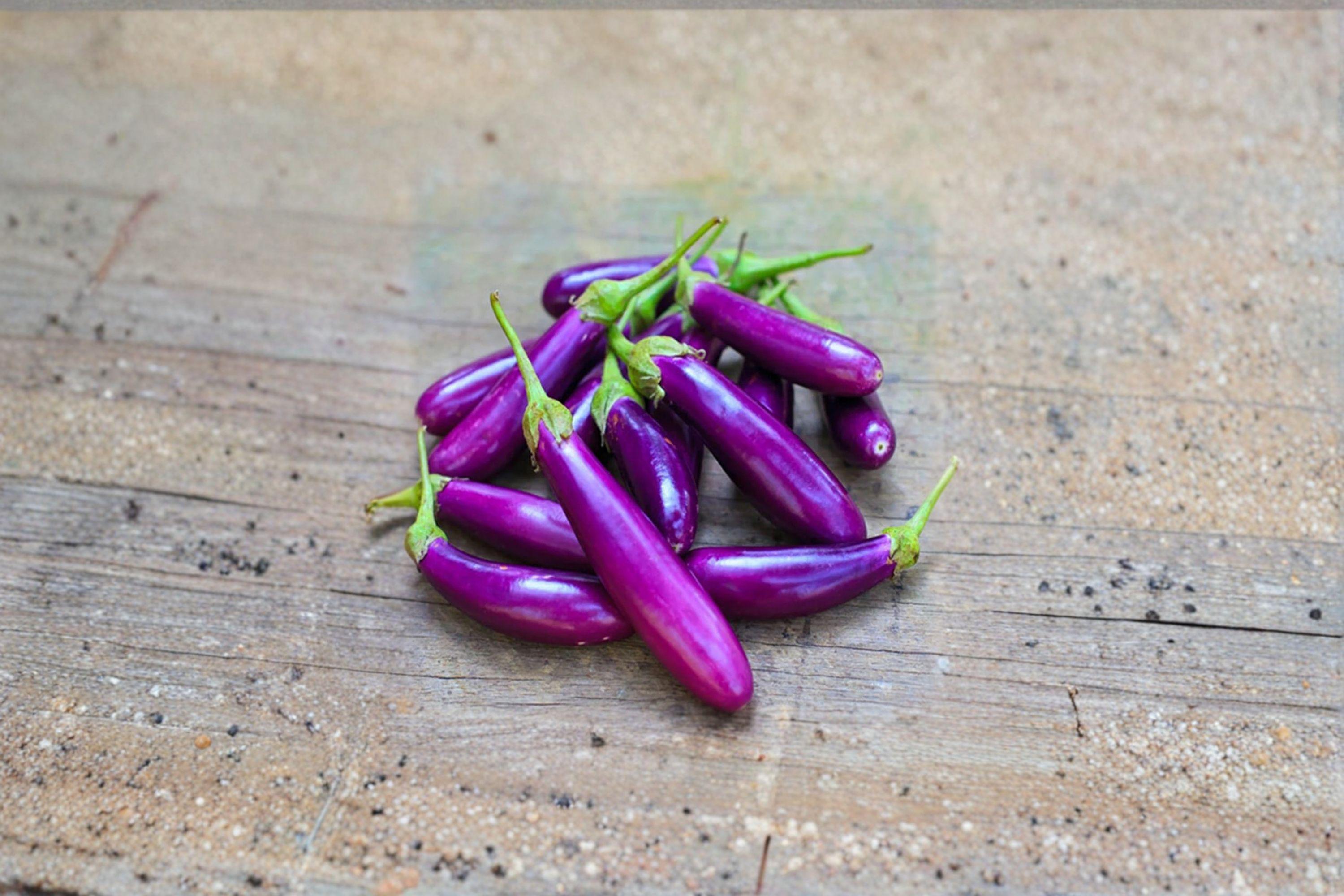 Eggplant – Long Purple 50 Seeds | Heirloom Eggplant | Slender Fruits | Early & Productive