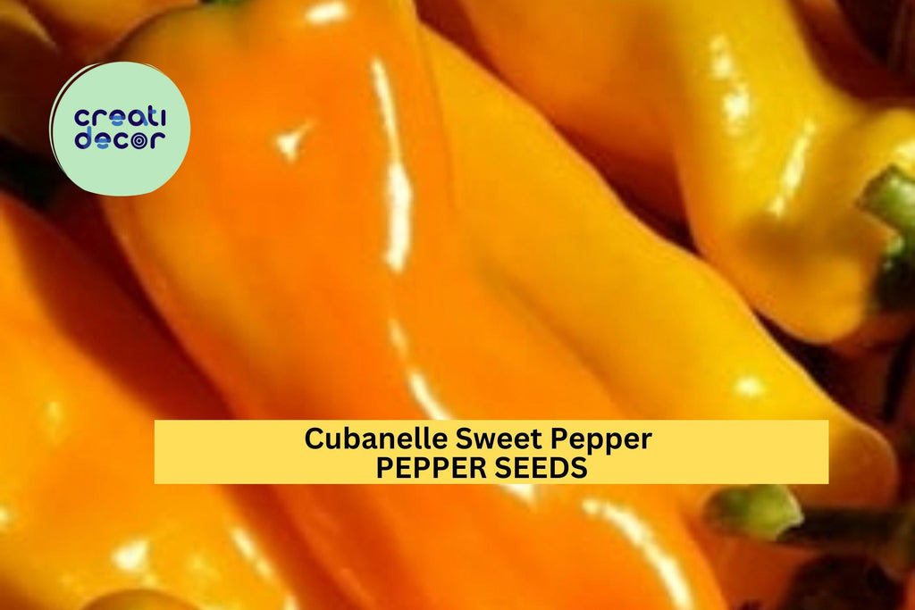 3pcs of 250mg Cubanelle Sweet Pepper Seeds – Mild, Sweet Peppers Ideal for Frying and Stuffing – Vegetable Garden Seeds for Planting