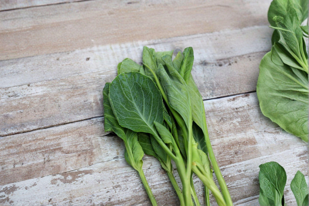 Chinese Broccoli – Kailaan (Open Pollinated) 150 Seeds | Asian Greens | Gai Lan Style | Tender Stems & Leaves