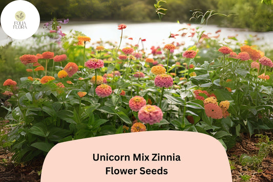 100+ Unicorn Mix Zinnia Seeds – Whimsical Color Blend Annual Flowers for Garden Planting, Borders & Cut Bouquets
