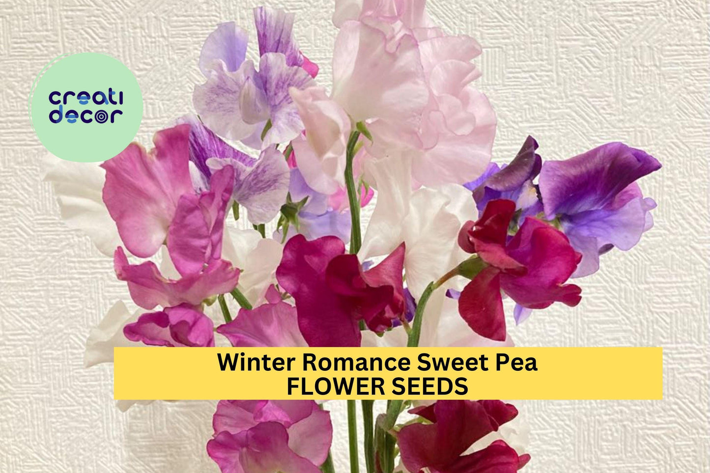 50+ Winter Romance Sweet Pea Seeds – Soft Blush Pink Fragrant Blooms for Garden Planting, Climbing Vines for Trellises – USA