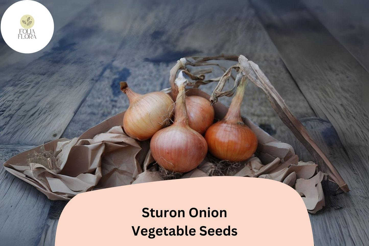 500+ Sturon Onion Seeds | Yellow Storage Onion | Reliable Heirloom | Garden Planting | Allium cepa Seeds