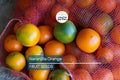 20 Naranjilla (Solanum quitoense) Seeds – Lulo Quito Orange Fruit Tree