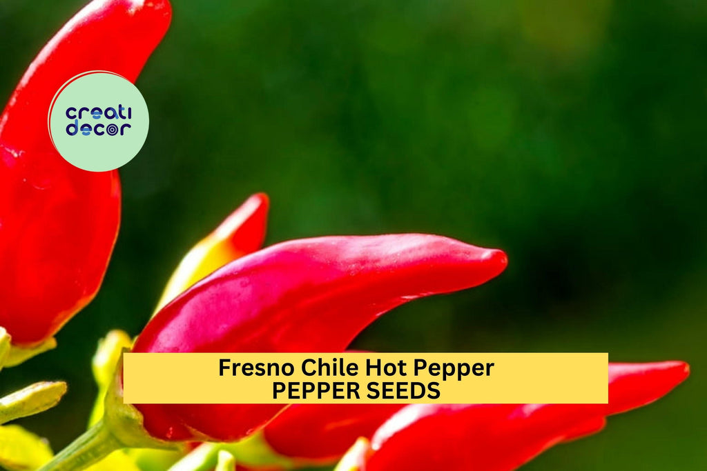 3pcs of 250mg Fresno Chile Hot Pepper Seeds – Spicy Red Chili for Salsa, Pickling, Roasting, and Home Garden Planting Seeds for Planting