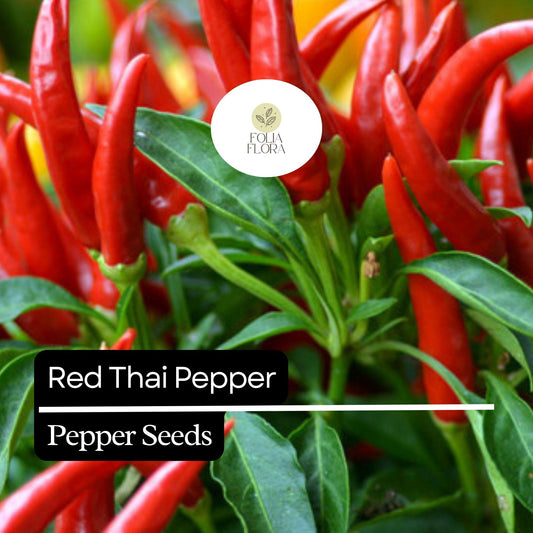 20 Red Thai Pepper Seeds – Hot & Spicy, Heirloom, Non-GMO, High-Yield Chili Peppers
