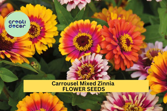 100+ Carrousel Mixed Zinnia Seeds – Bright, Multi-Colored Blooms for Garden Planting, Easy-Grow Annuals for Beds & Bouquets – USA