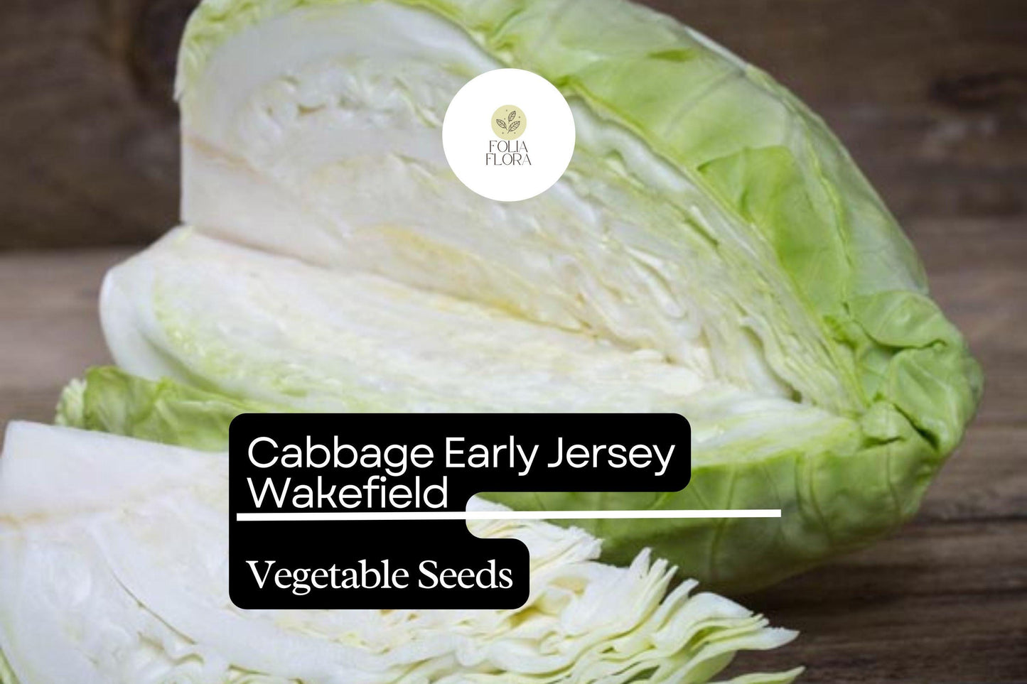 500+ Jersey Wakefield Cabbage Seeds | Brassica oleracea | Heirloom Early Pointed-Head Cabbage for Garden Planting
