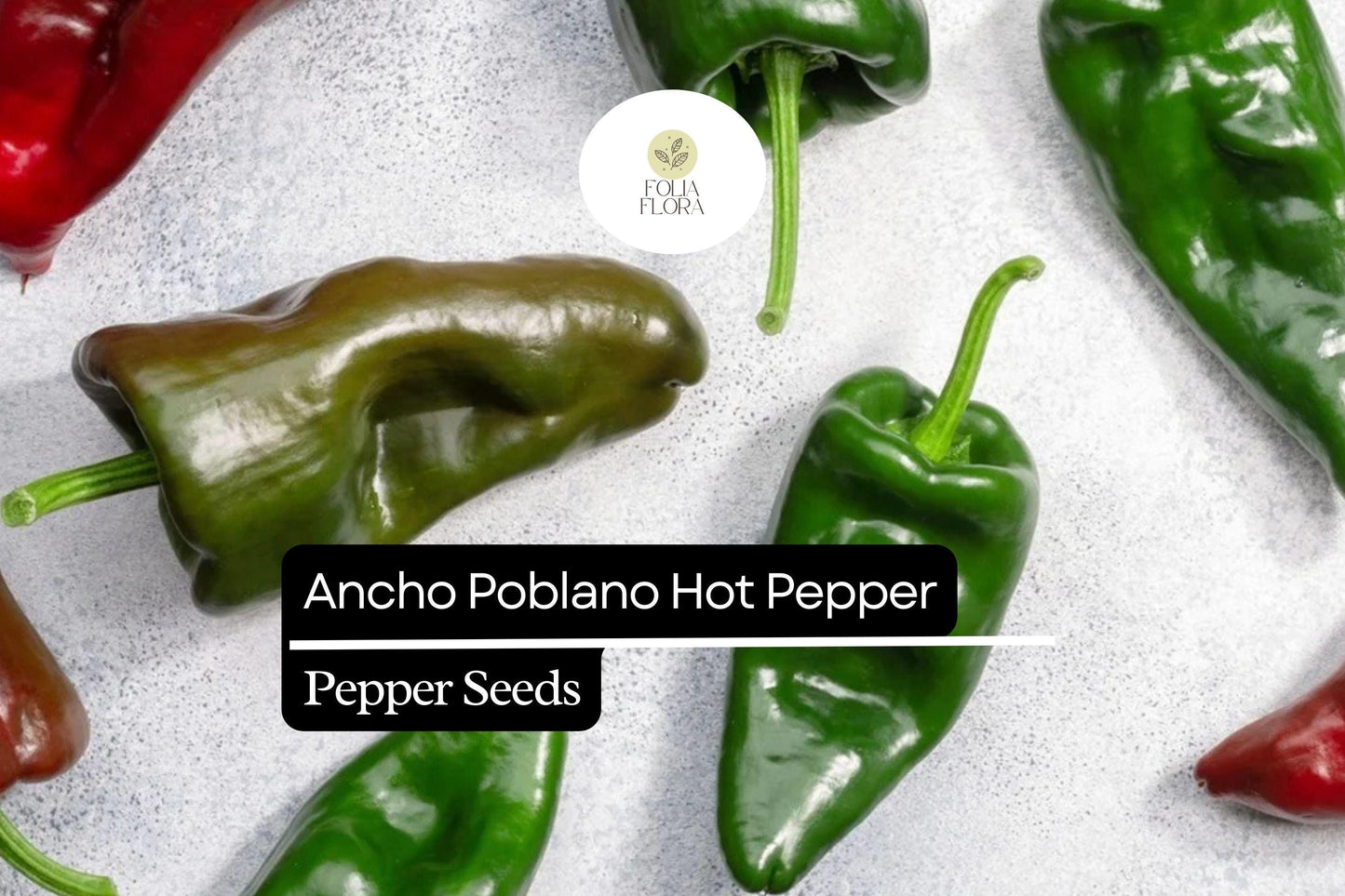 25 Ancho Poblano Pepper Seeds – Heirloom, Non-GMO, Mildly Spicy & Flavorful Peppers