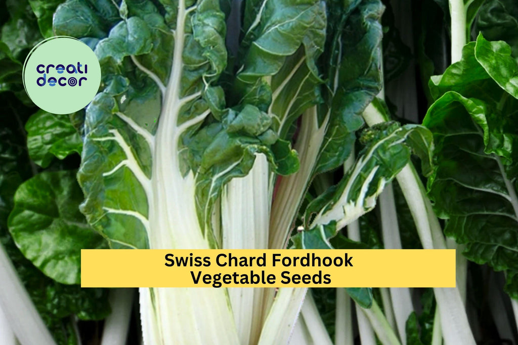 3pcs of 1g Swiss Chard Fordhook Seeds – Leafy Greens for Stir Fry, Soups & Salads, Easy to Grow Cold-Hardy Vegetable Seeds for Planting