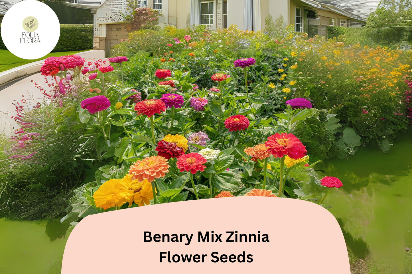 100+ Benary Mix Zinnia Seeds – Large Double Blooms for Cut Flower Gardens & Summer Planting