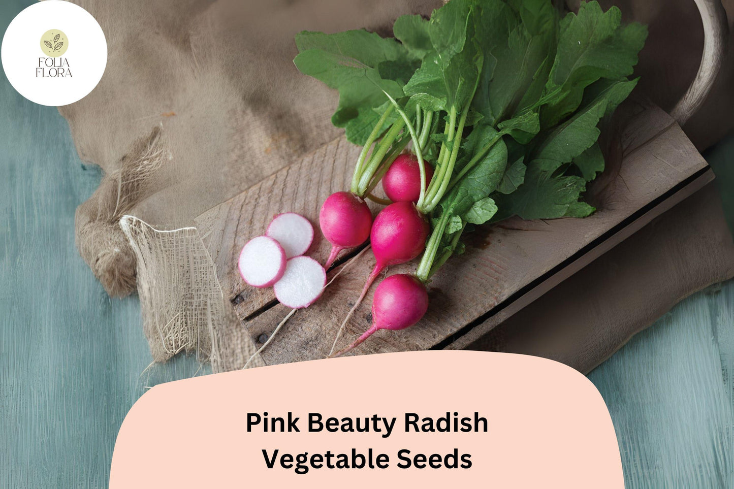 500+ Pink Beauty Radish Seeds – Heirloom Round Pink Radish Seeds for Garden Planting