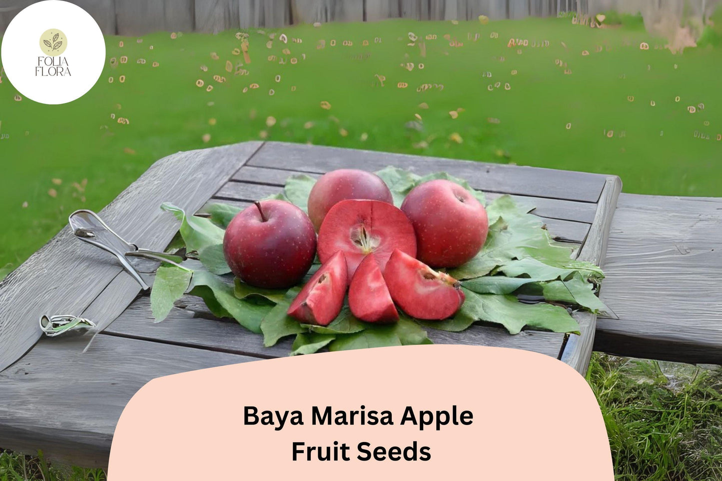 25+ Baya Marisa Apple Seeds for Planting | Red Flesh Apple Tree | Sweet Crisp Fruit