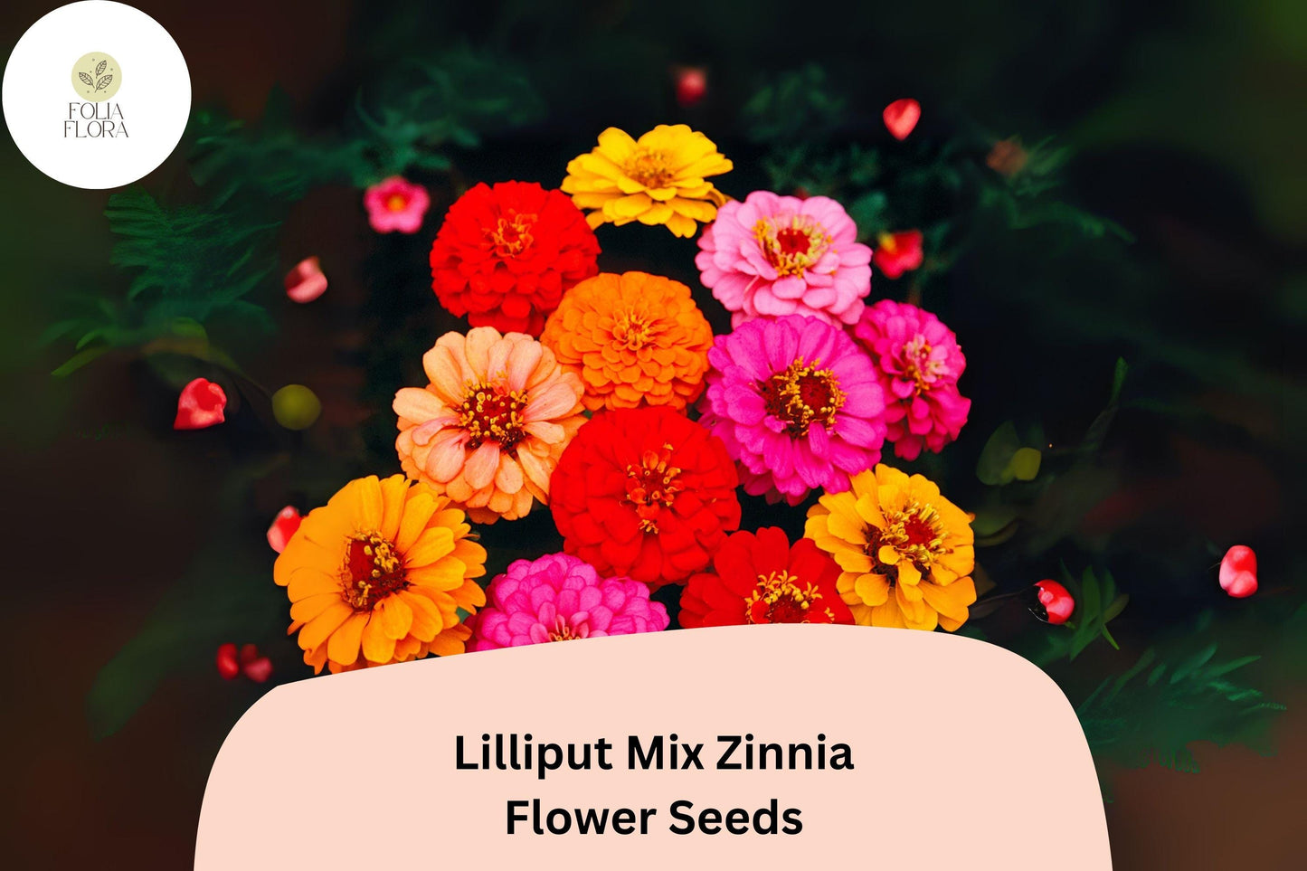 100+ Lilliput Mix Zinnia Seeds – Small Pompon Blooms for Borders, Bouquets & Summer Gardens
