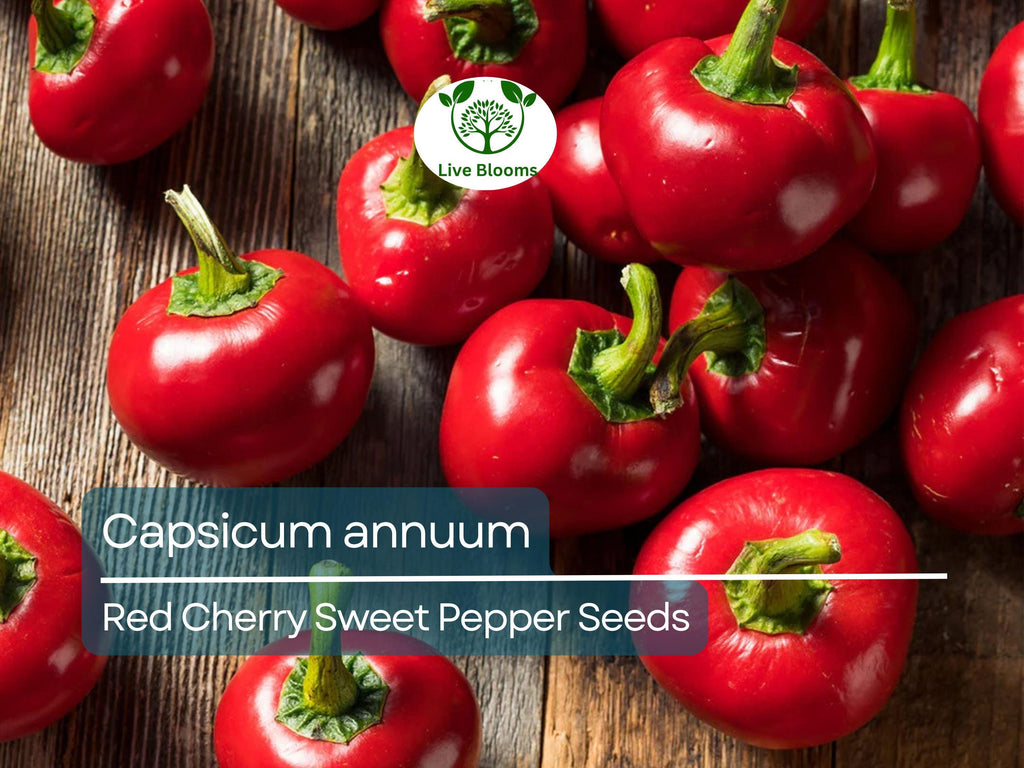 250 mg Red Cherry Sweet Pepper Seeds - Capsicum annuum | Heirloom Sweet Pepper for Planting, Home Garden & Culinary Use, Small Round Peppers