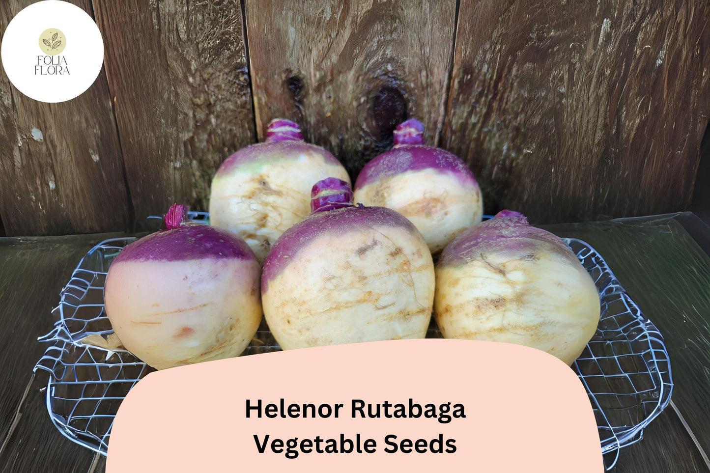 500+ Helenor Rutabaga Seeds – Heirloom Brassica Root Vegetable Seeds for Garden Planting