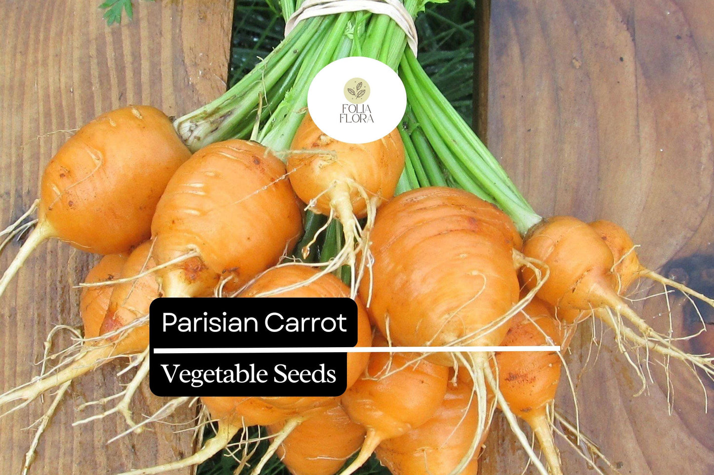 300 Seeds Parisian Carrot (Daucus carota) – Small, Round Heirloom Variety for Gourmet Gardens