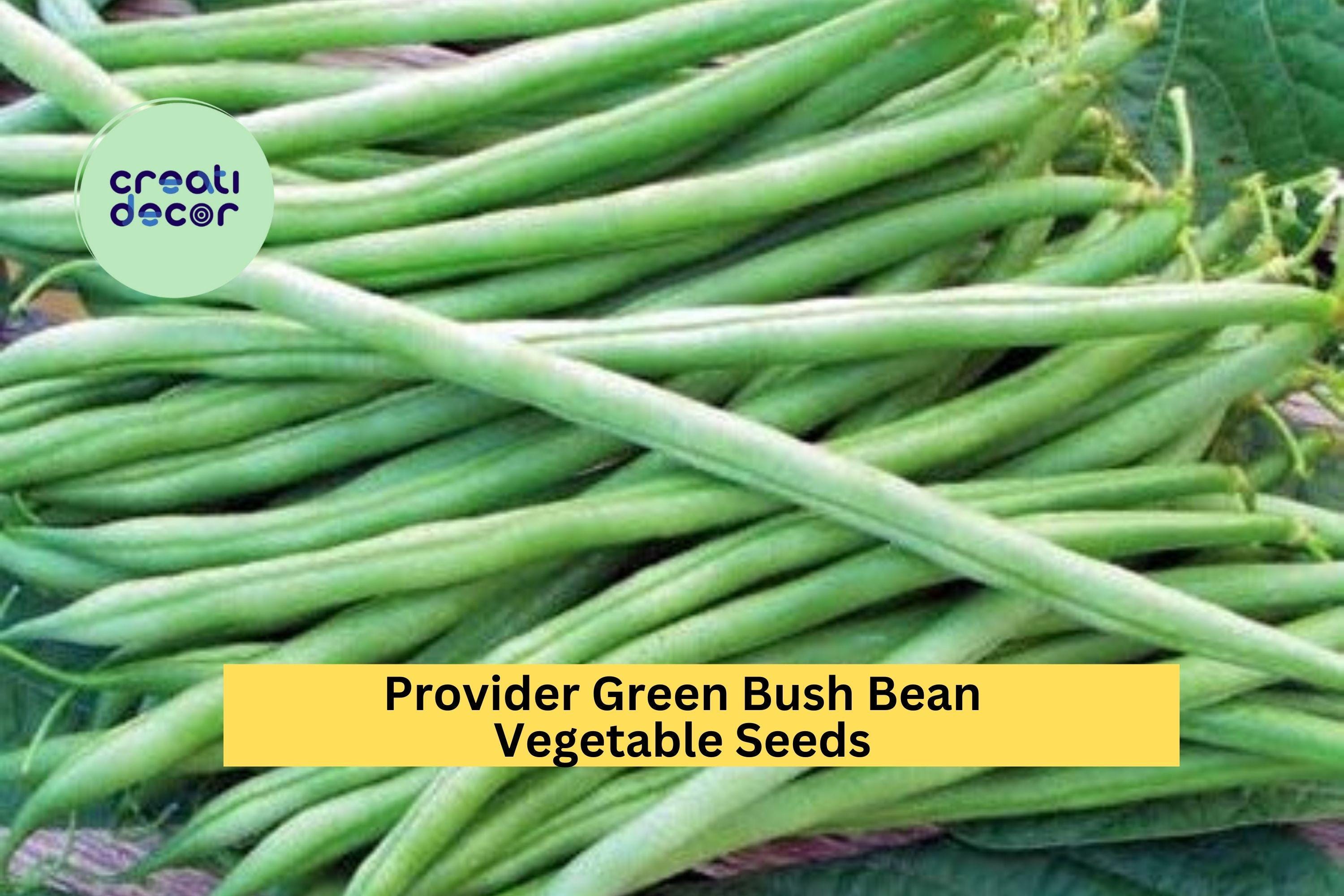 3pcs x 5g Provider Bush Bean Seeds – Reliable Green Beans for Garden Rows, Raised Beds, or Container Growing Seeds for Planting