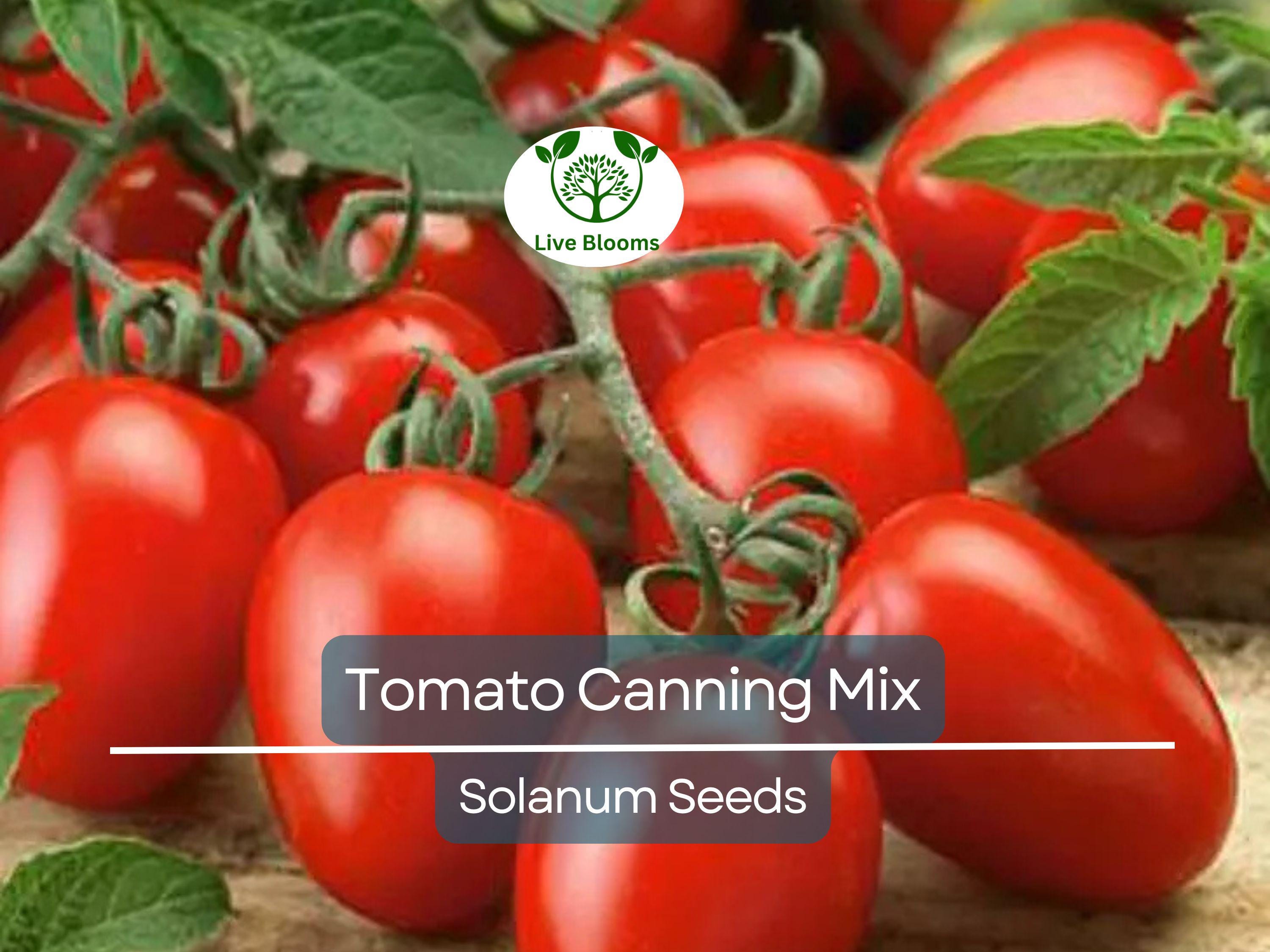 100 Tomato Seeds Mix - Heirloom Canning, Sauce & Paste Varieties | Indeterminate, Non-GMO, Lycopersicon esculentum, Garden Favorite