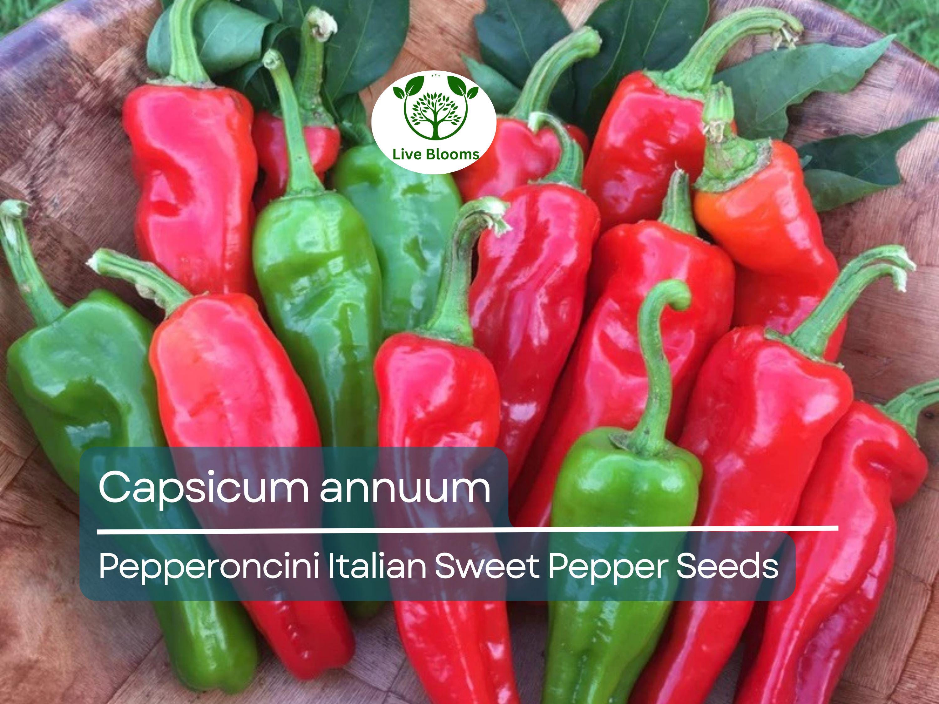 250 mg Pepperoncini Italian Sweet Pepper Seeds - Capsicum annuum | Heirloom Mild Pepper for Planting, Pickling & Culinary Use