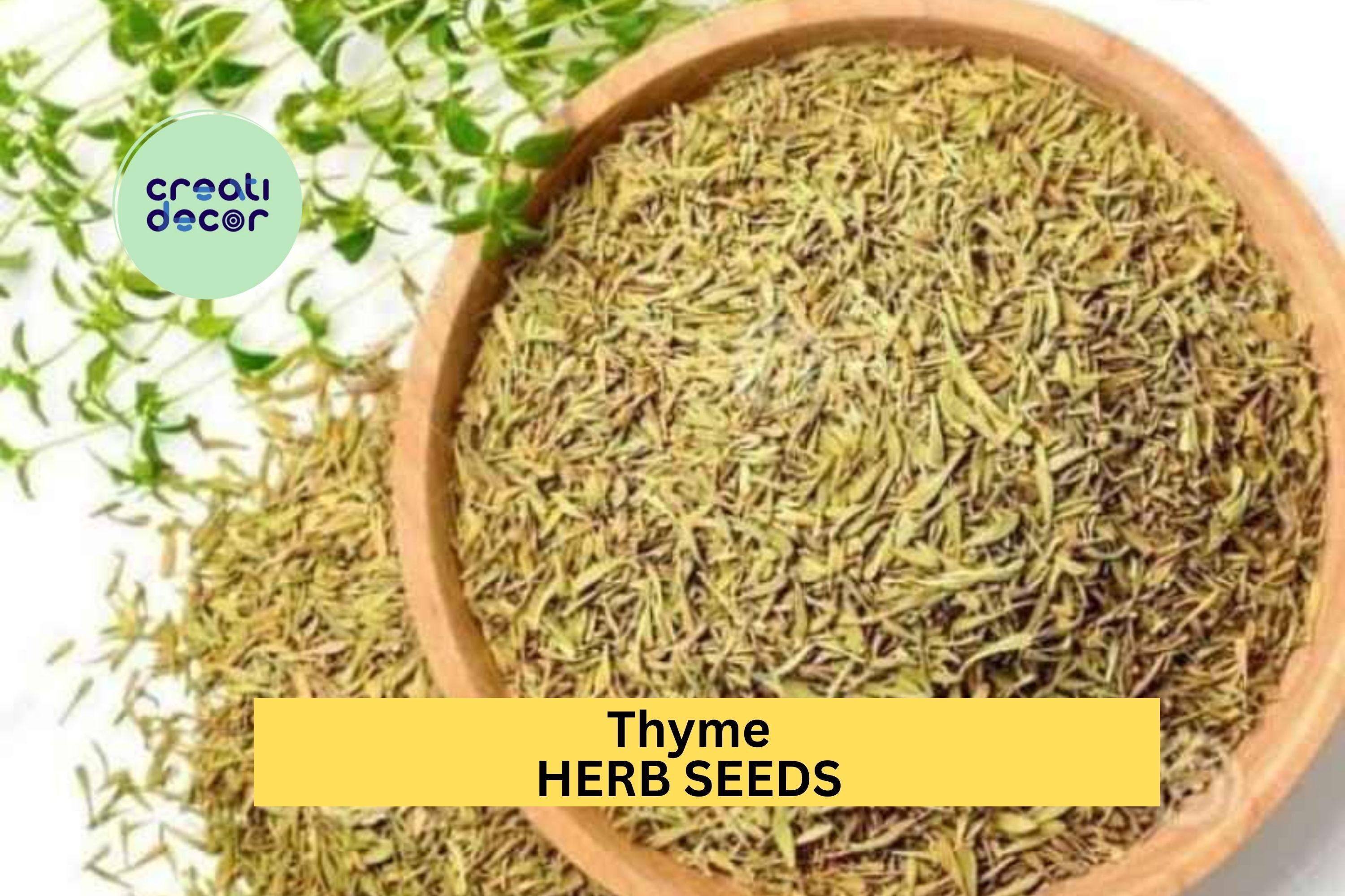 3pcs of 100mg Thyme Seeds – Aromatic Culinary Herb for Containers, Borders, Rock Gardens, and Kitchen Garden Planting Seeds for Planting