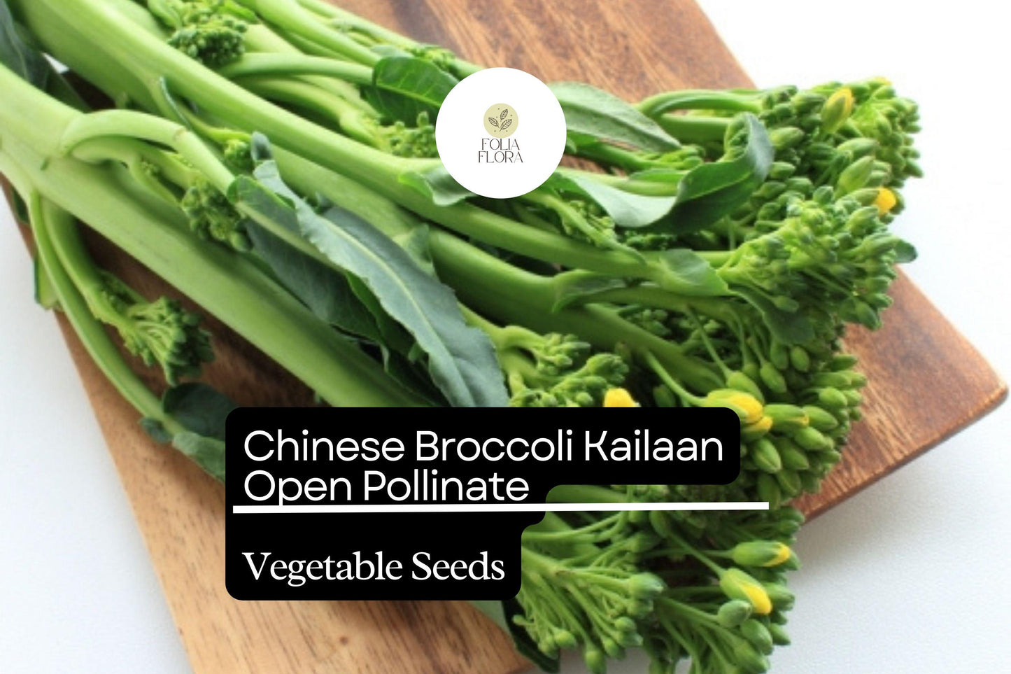 500mg Chinese Broccoli Kailaan Seeds Brassica oleracea | Open Pollinated Heirloom Variety | Tender Stalks & Delicious Greens