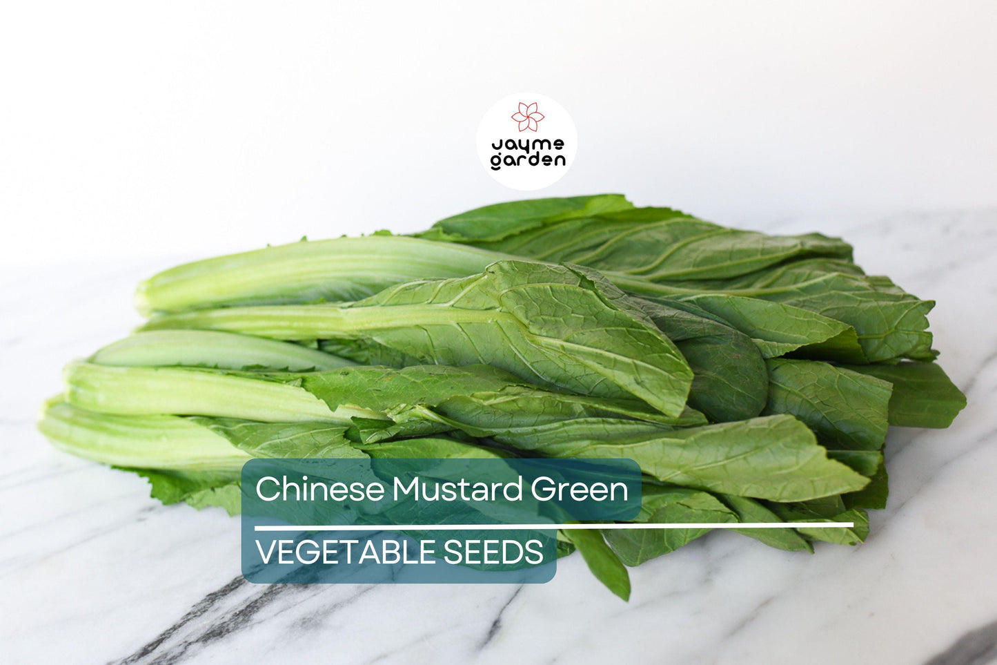 2,000 Chinese Mustard Green Seeds - Gai Choy, Cai Be Xanh, Fast-Grow, Nutrient-Rich, USA Seller, Perfect for Stir-Fries & Salads