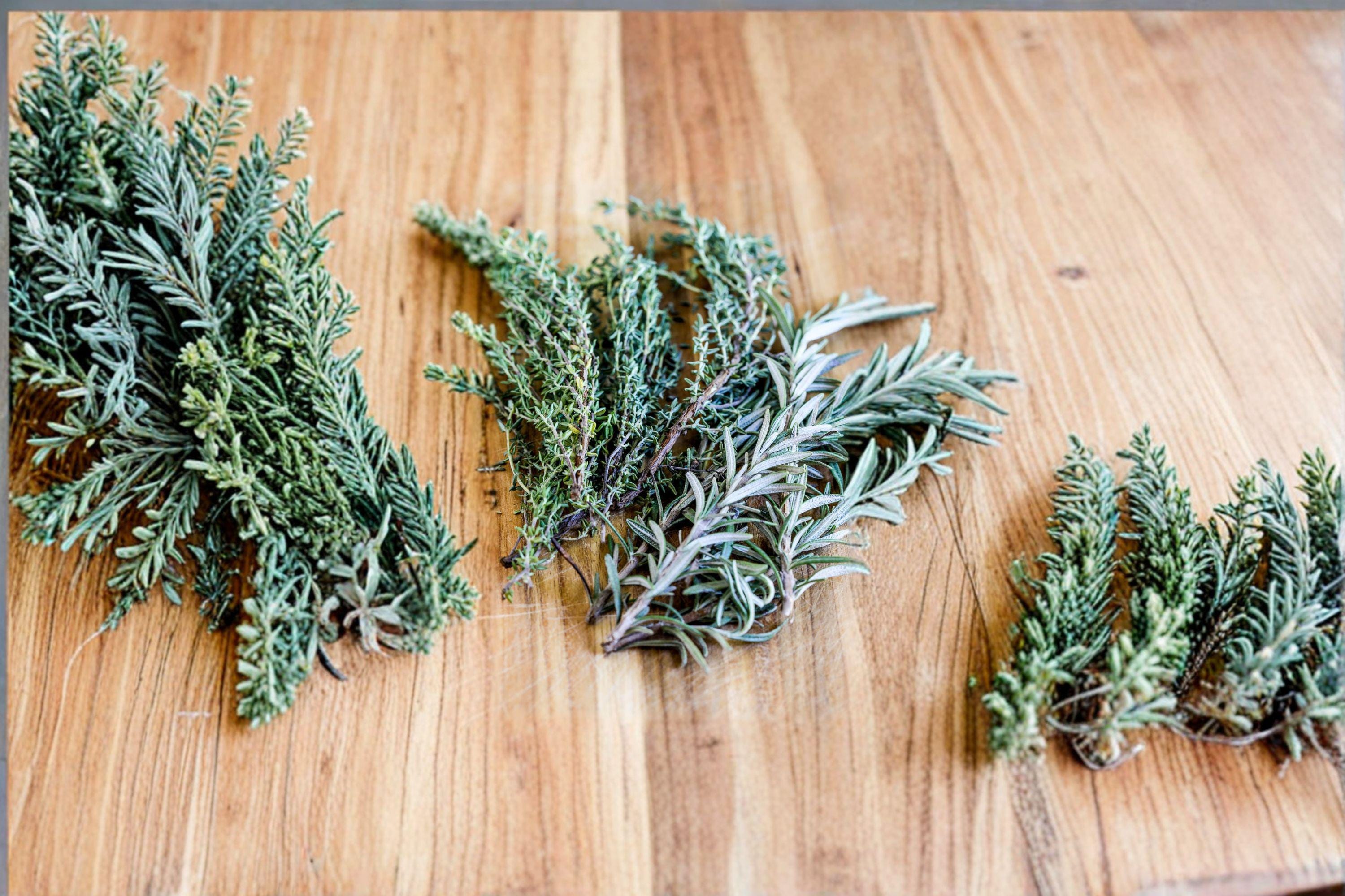 Thyme 350 Seeds | Classic Culinary Herb | Hardy Perennial | Aromatic & Pollinator-Friendly