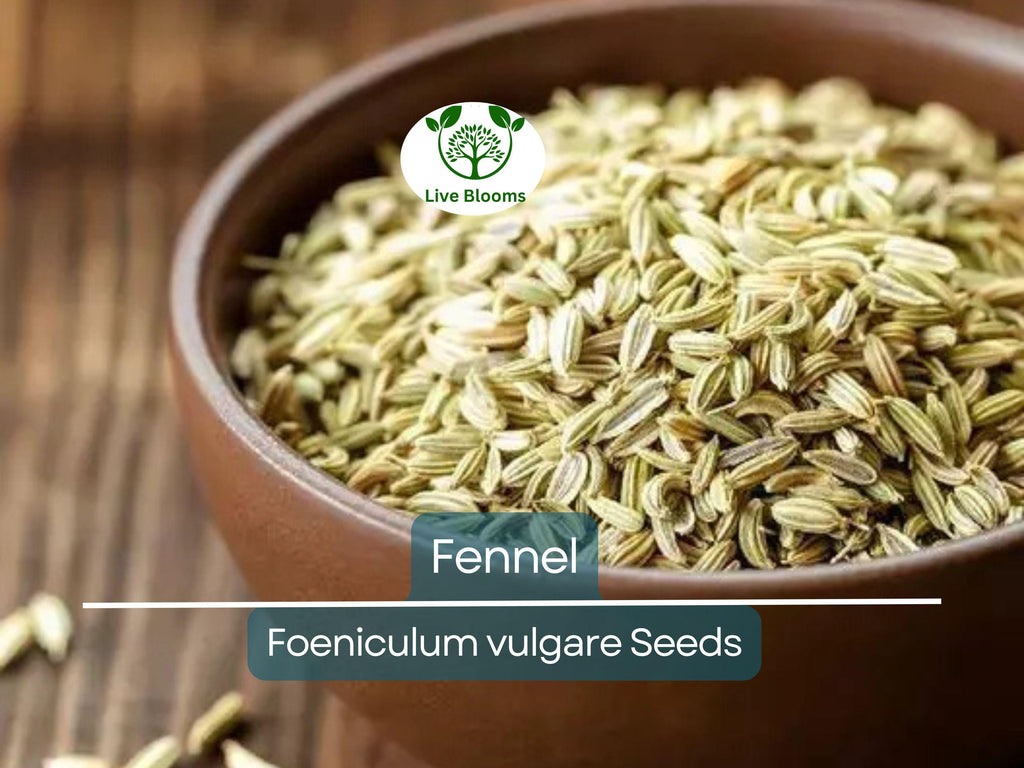 200 Fennel Seeds Herb, Perennial, Swallowtail Butterfly Host Plant, Non-GMO, Aromatic, Healthy, Easy to Grow, Perfect for Gardens