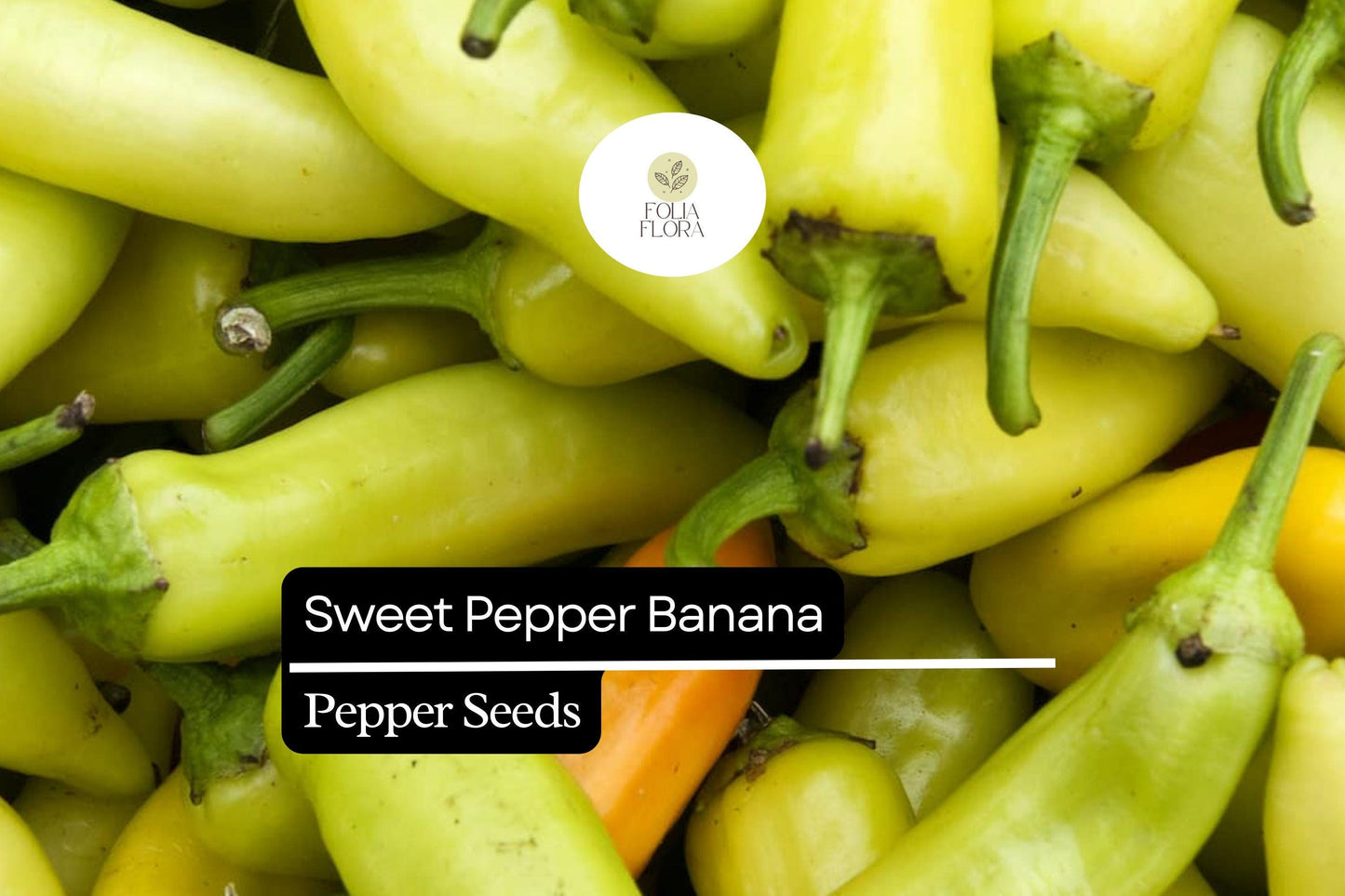 25 Sweet Banana Pepper Seeds – Capsicum annuum – Heirloom, Mild & Sweet, High-Yielding, Non-GMO
