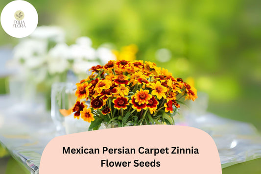 100+ Mexican Persian Carpet Zinnia Seeds – Colorful Dwarf Mix for Garden Beds, Borders & Containers
