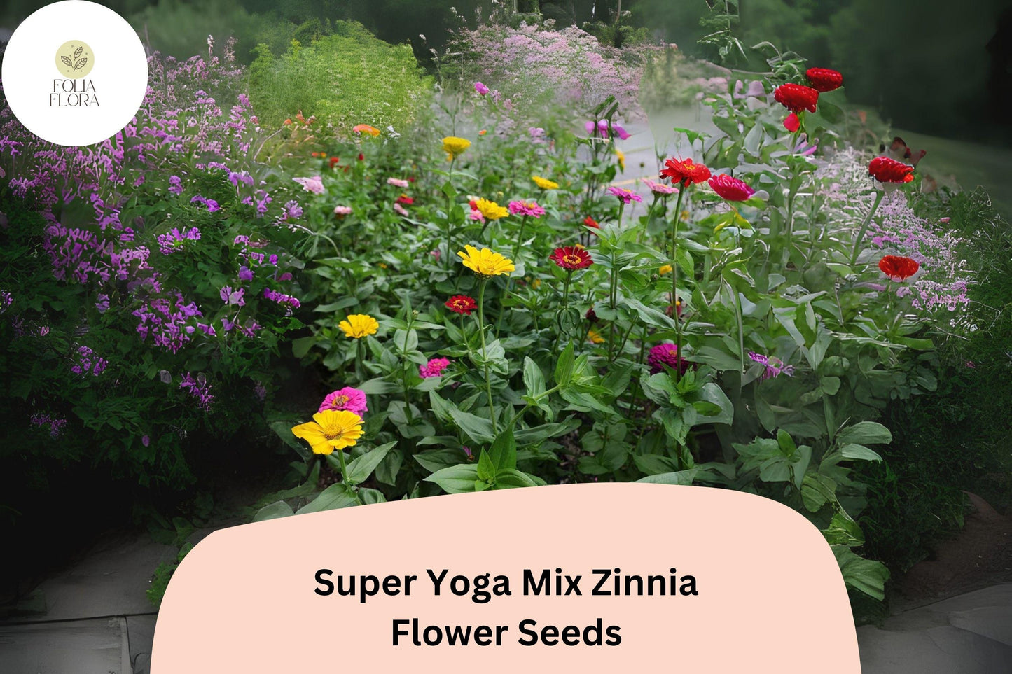 100+ Super Yoga Mix Zinnia Seeds – Colorful Tall Annual Flowers for Garden Planting, Borders & Cut Flower Bouquets