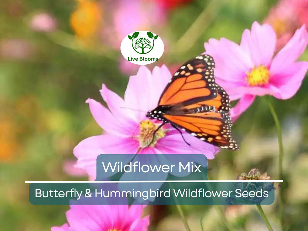 1000 Seeds Wildflower Mix Butterfly & Hummingbird - Heirloom, Non-GMO, Pollinator-Friendly, Attracts Bees, Butterflies, and Hummingbirds