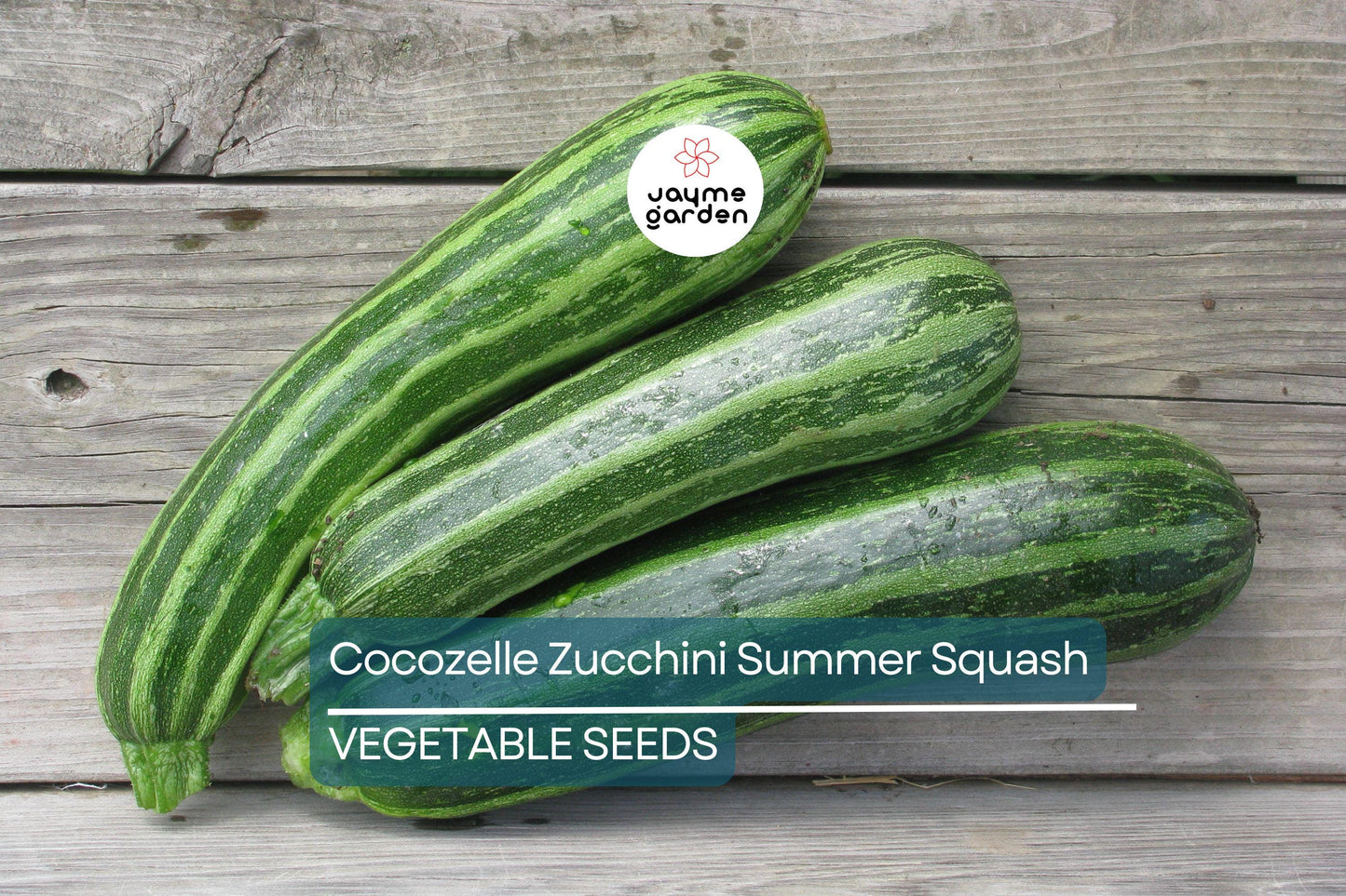 50 Cocozelle Zucchini Seeds – Heirloom Italian Summer Squash, Non-GMO, High-Yield, Tender & Flavorful, Easy to Grow, Free Shipping!