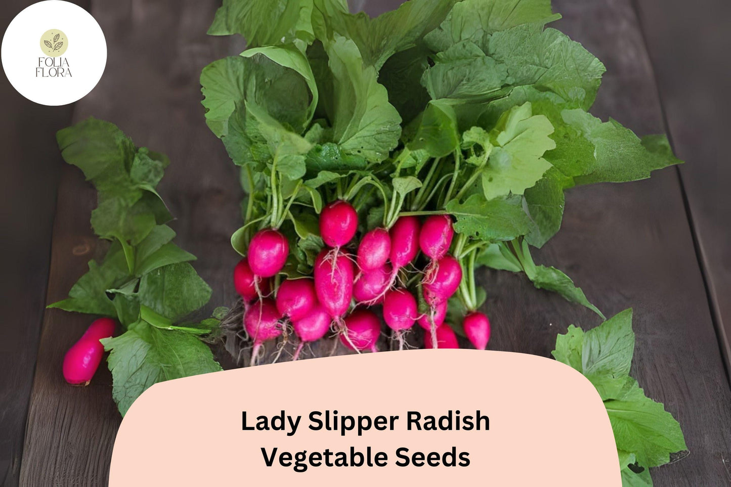 500+ Lady Slipper Radish Seeds – Heirloom Pink Radish Seeds for Garden Planting