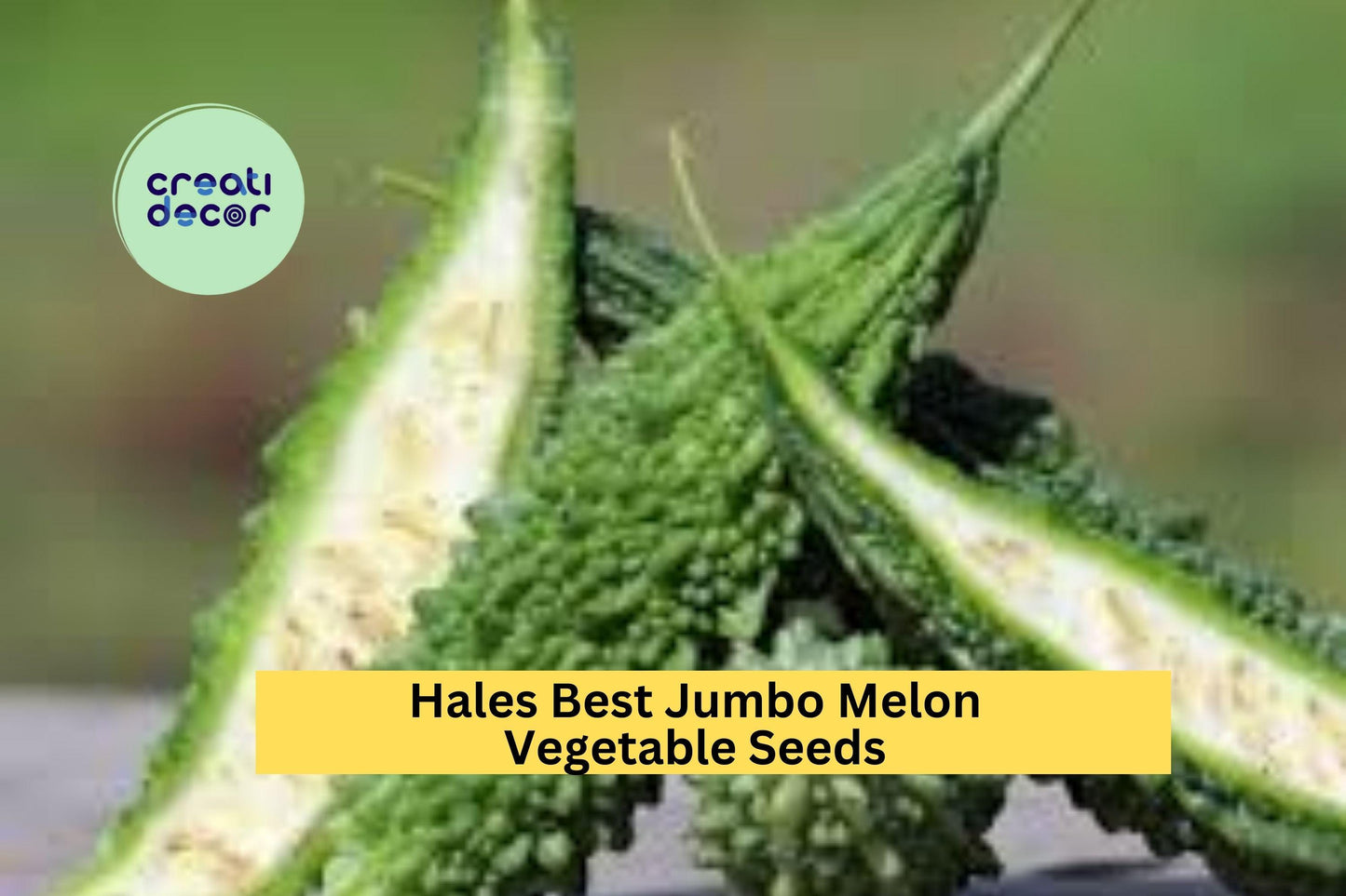 3pcs of 5 Seeds Bitter Melon Dark Jade Hybrid – High-Yield Green Gourd for Tropical and Warm-Climate Gardens Seeds for Planting