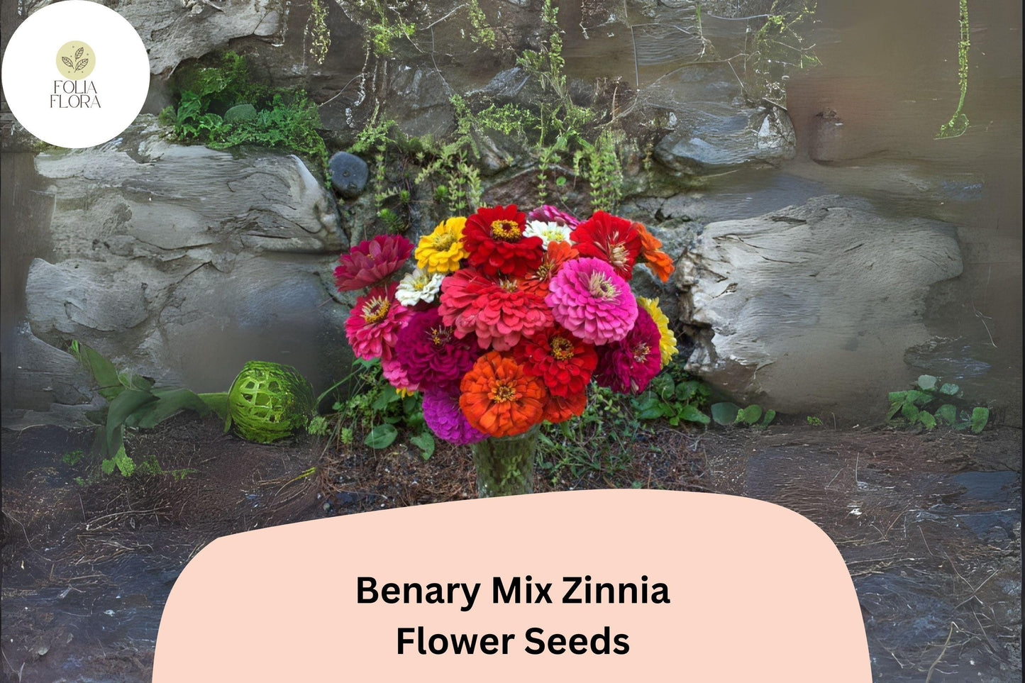 100+ Benary Mix Zinnia Seeds – Large Double Blooms for Cut Flower Gardens & Summer Planting
