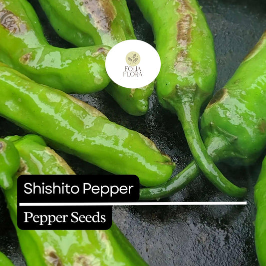 20 Shishito Pepper Seeds – Mild & Sweet – Heirloom, Non-GMO, Easy to Grow