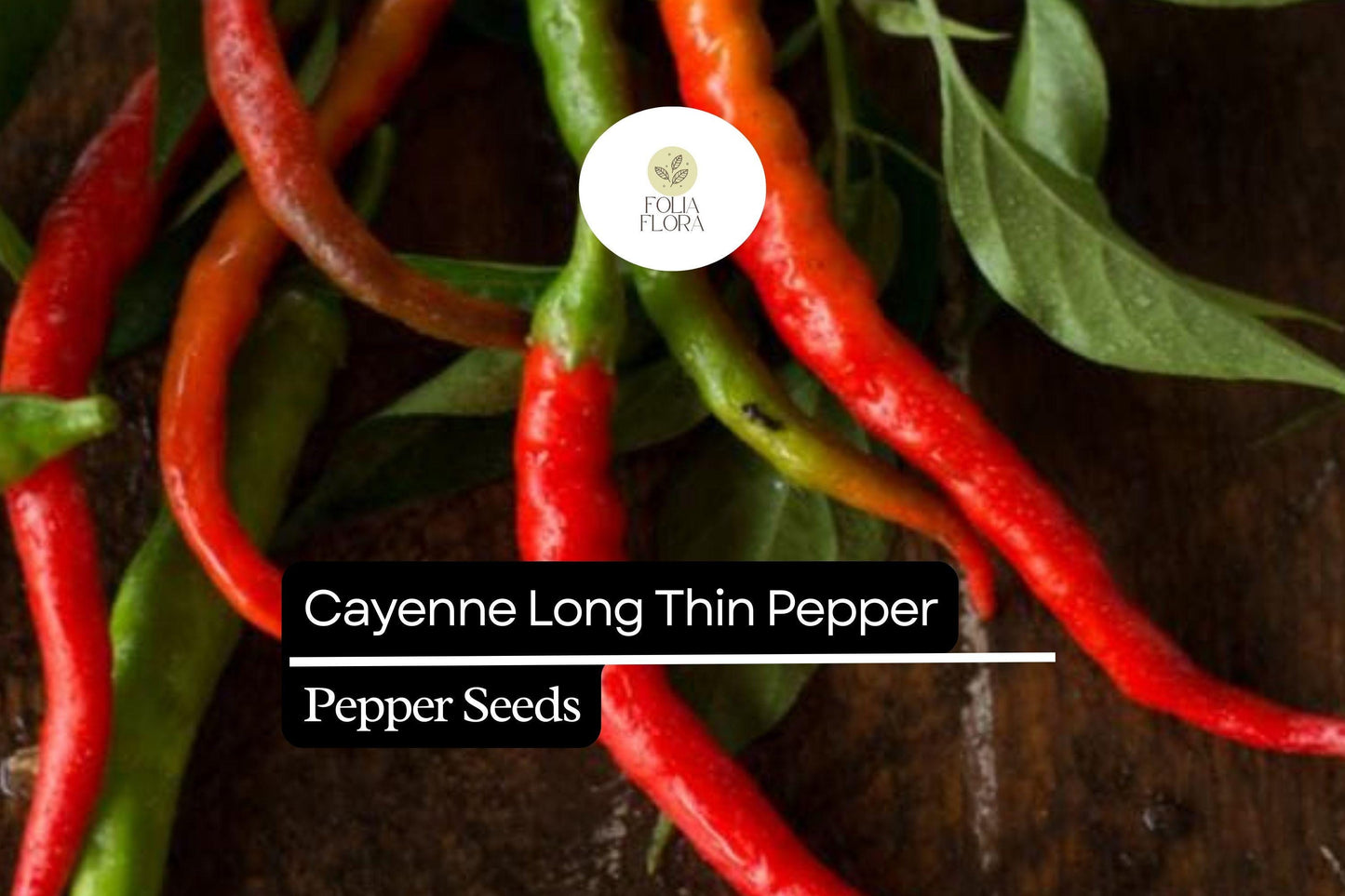 25 Long Thin Red Cayenne Pepper Seeds – Capsicum annuum – Spicy Heirloom Chili, Non-GMO, High-Yield, Ideal for Drying & Cooking