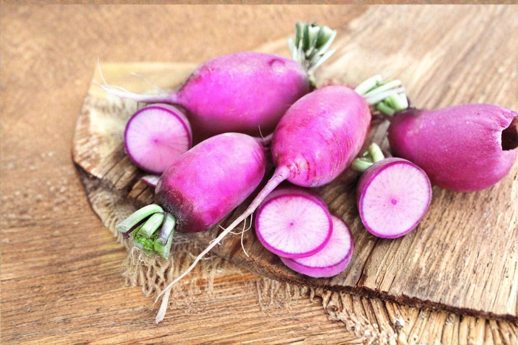 Radish – Triton Purple Stem 80 Seeds | Fast-Growing Radish | Purple Stems | Mild & Tender Roots