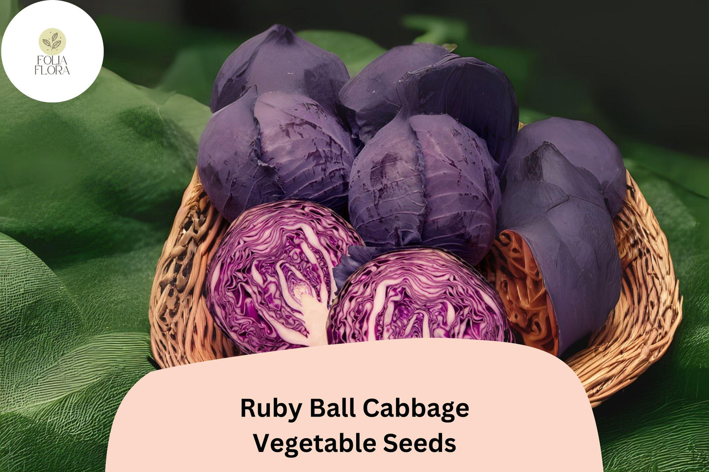 500+ Ruby Ball Cabbage Seeds | Heirloom Red Garden Vegetable | Brassica oleracea | Bulk Seeds for Planting
