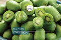 Kiwi Prolific Vine Small Starter Plant | Self-Pollinating & Easy to Grow | Cold Hardy | Smooth-Skinned Fruit | Zones 4-8