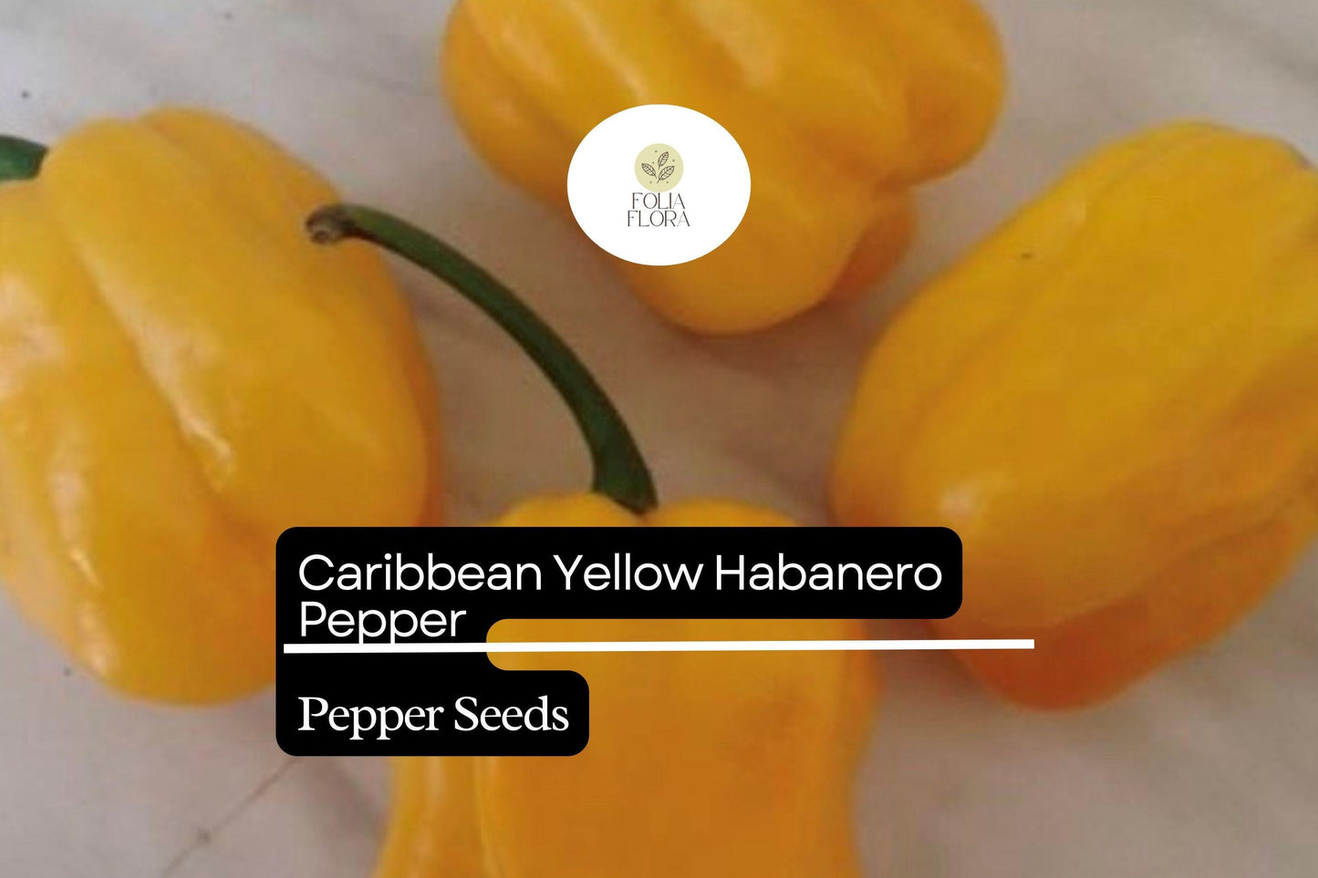 25 Caribbean Yellow Habanero Pepper Seeds – Capsicum chinense – Hot Chili, Heirloom, Non-GMO, 300,000+ Scoville