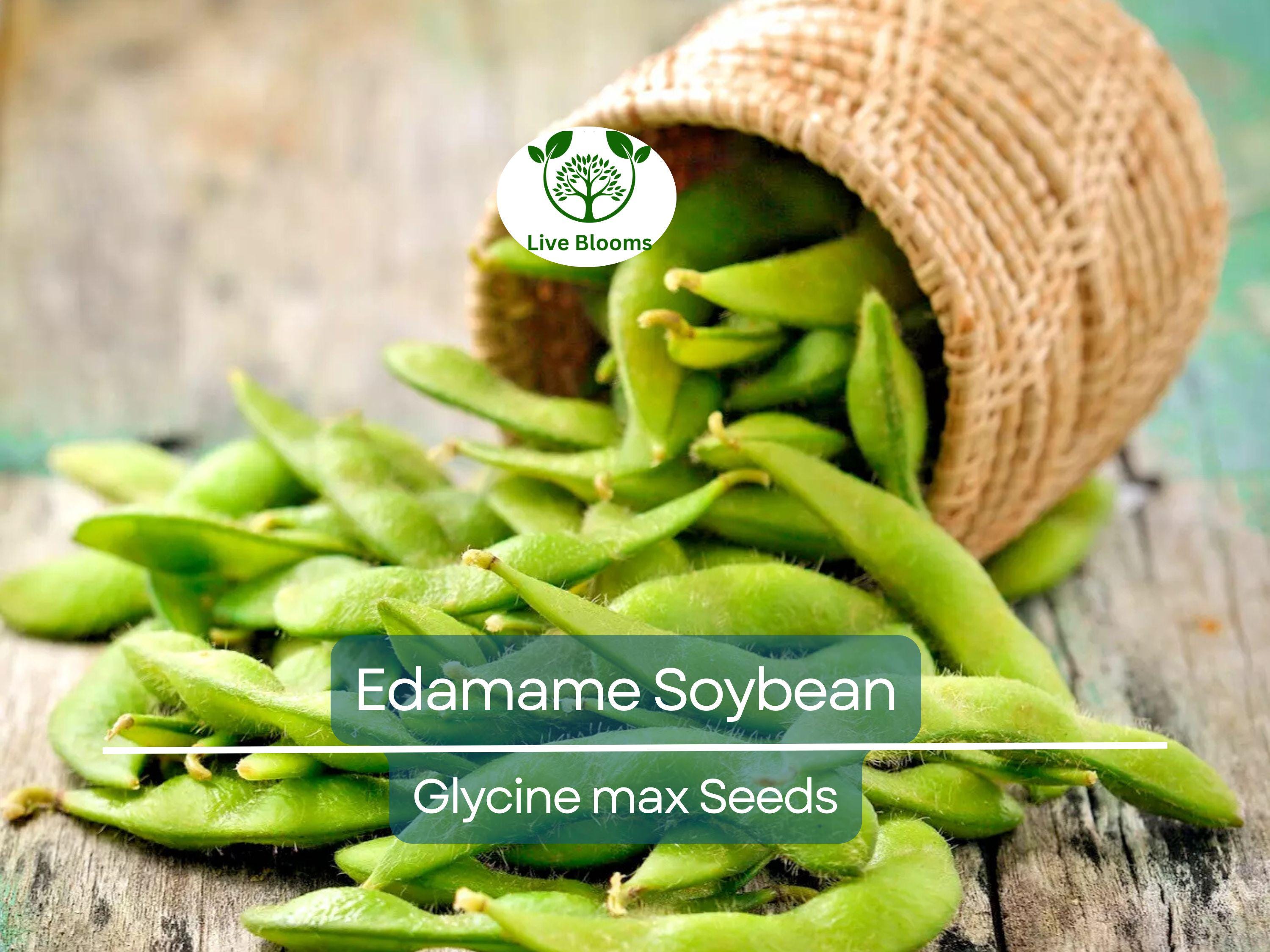 10 Edamame Soybean Seeds for Planting "Be Sweet" Japanese Vegetable, Glycine max, Asian Soybeans, Non-GMO, High-Quality Edamame Seeds